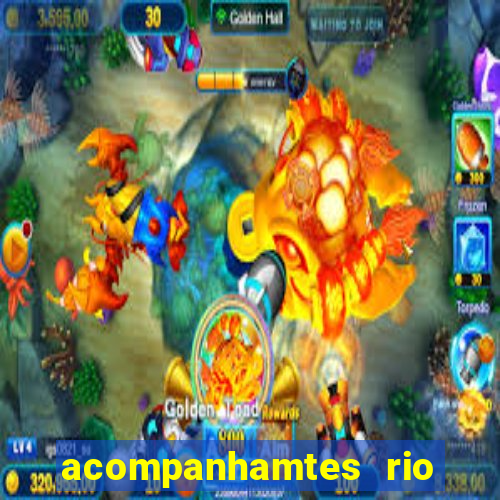 acompanhamtes rio de janeiro